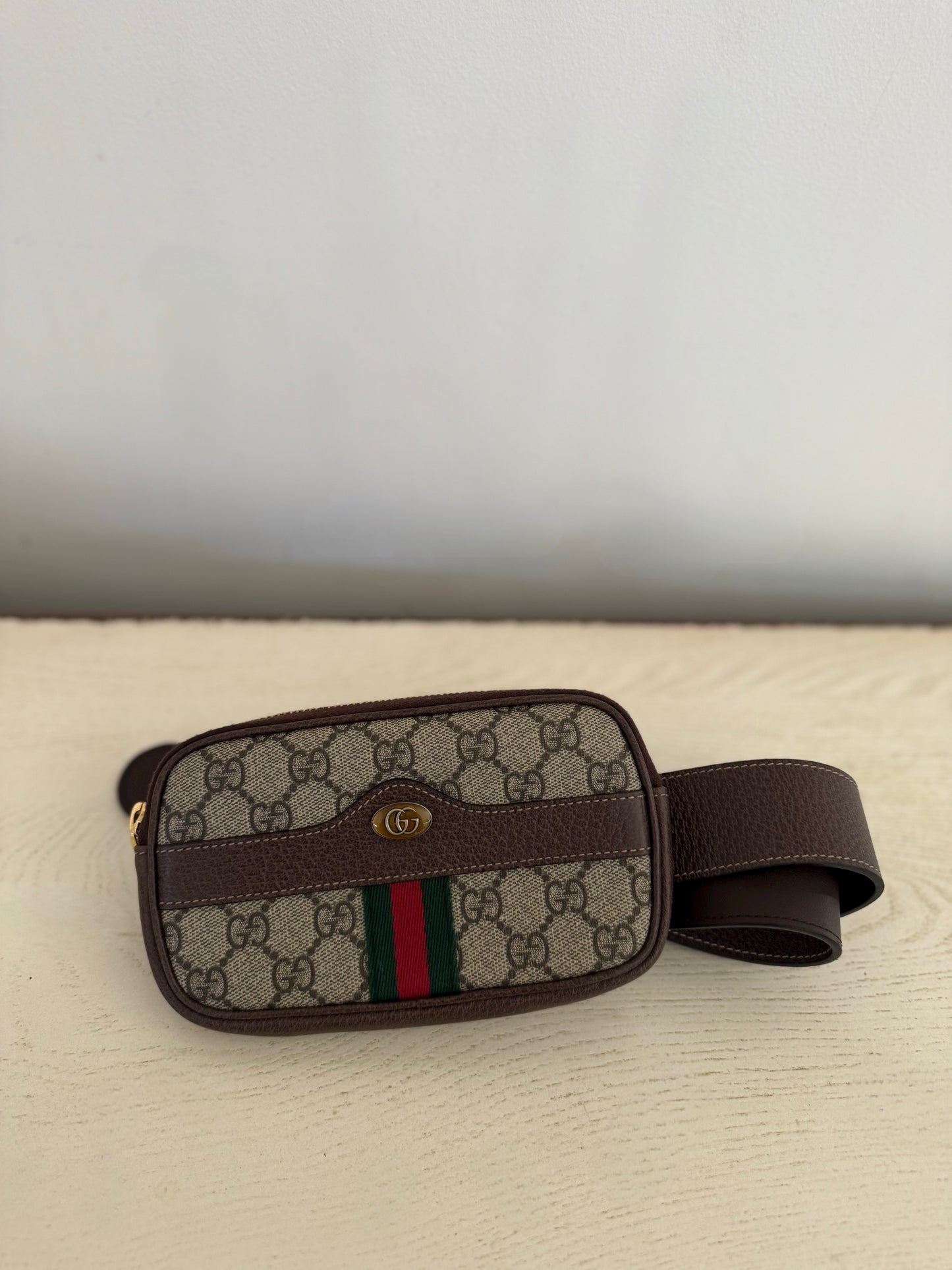 Gucci Ophidia Belt Bag