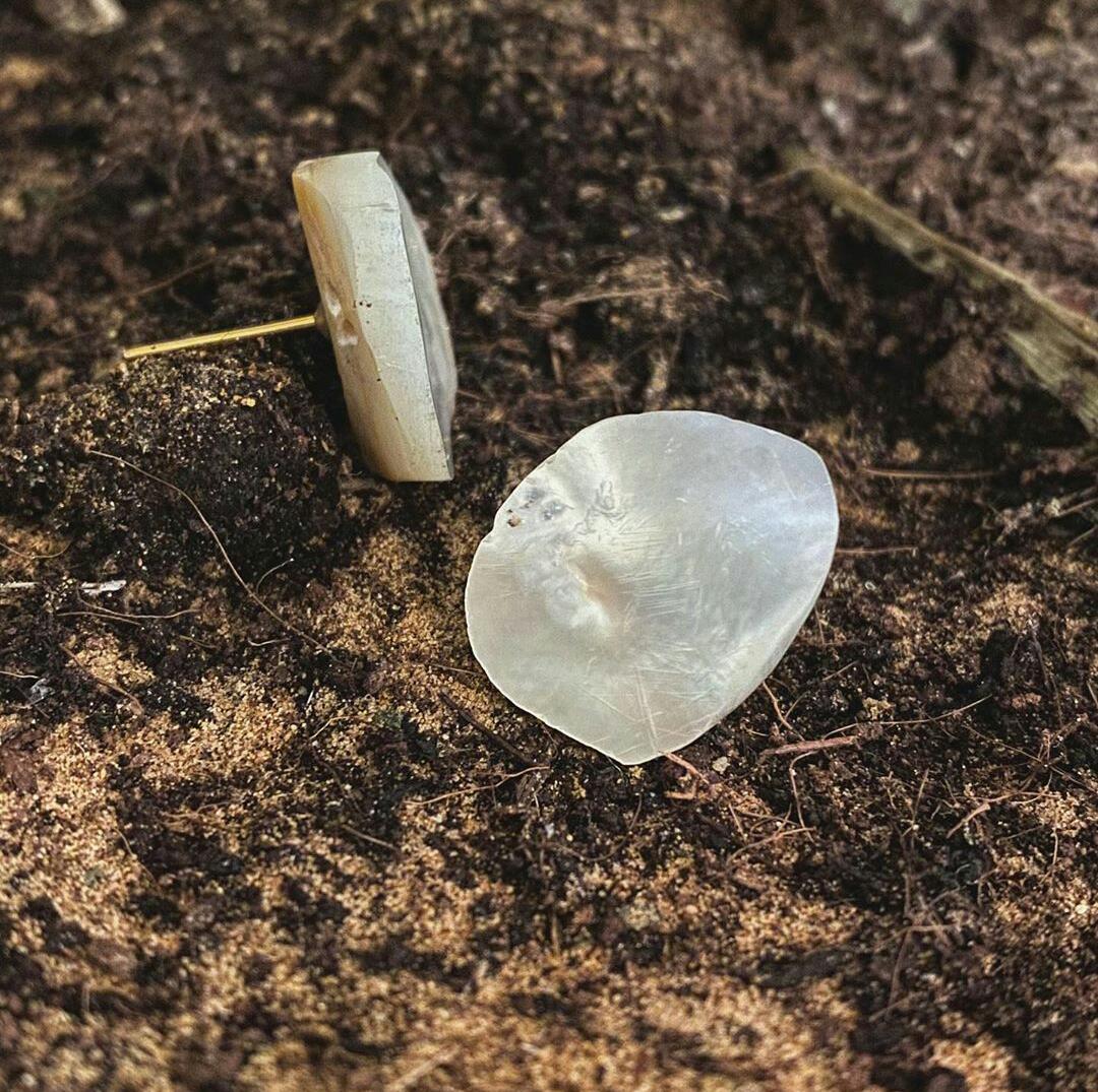 Sea Shell Earring